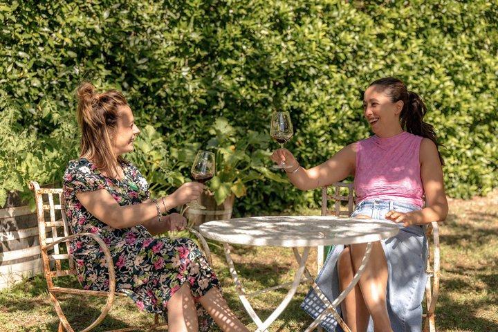 Halve dag Chianti wijnproeverij vanuit Florence met twee wijnhuizen
