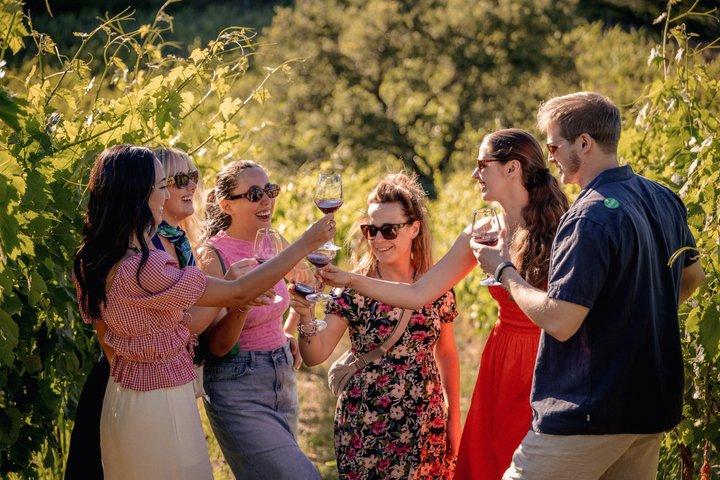 Halve dag Chianti wijnproeverij vanuit Florence met twee wijnhuizen