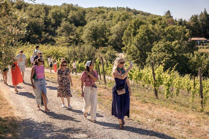 Halve dag Chianti wijnproeverij vanuit Florence met twee wijnhuizen