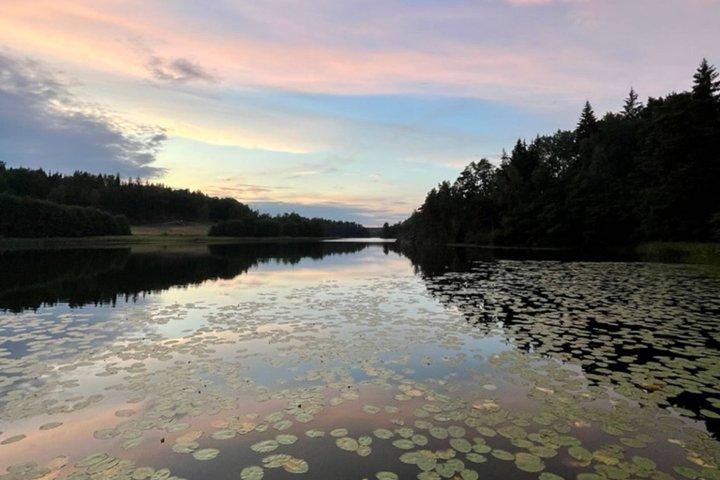 Stockholm: Solnedgångsvandring i Tyresta nationalpark med måltid