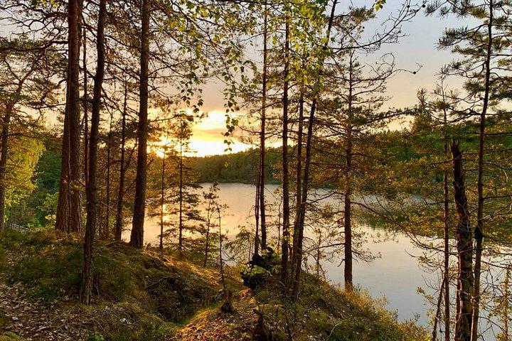 Stockholm: Sunset Hike in Tyresta National Park with Meal