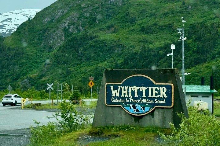 Whittier Cruise Port to Anchorage Scenic Wildlife Tour