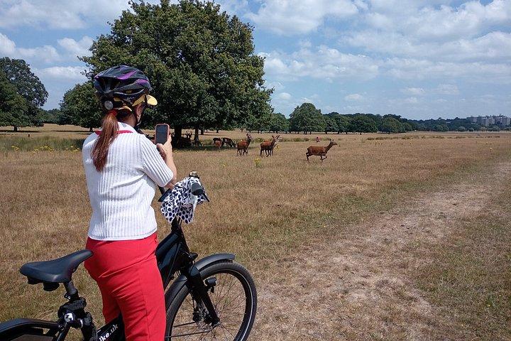 ロンドンEバイクツアーリッチモンドパーク鹿と隠れた宝石