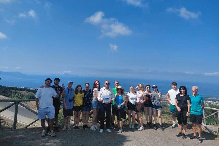 Mount Vesuvius Audio Guided Tour with Tickets from Naples