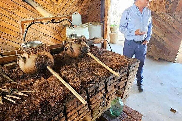 オアハカの終日ツアー：モンテ・アルバン、メスカル、アレブリヘ、黒粘土