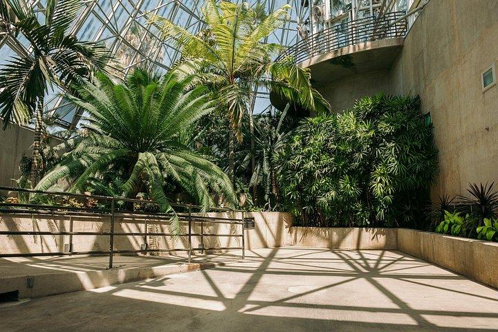 Billet til San Antonio Botanical Garden