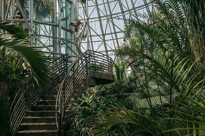 Billet til San Antonio Botanical Garden