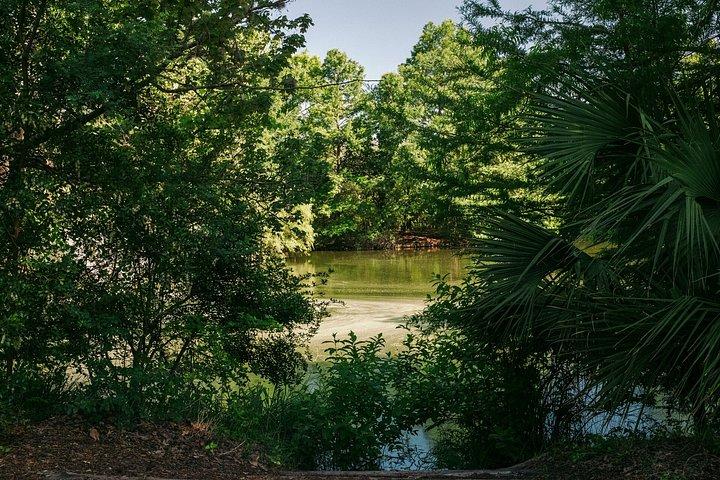 Billet til San Antonio Botanical Garden