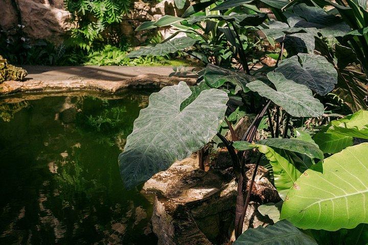 Billet til San Antonio Botanical Garden