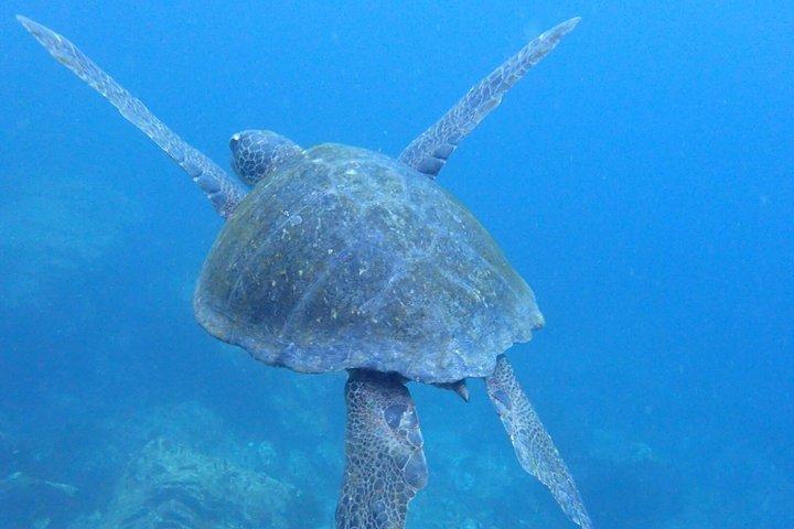 Isla Lobos e Ochoa Beach: tour di snorkeling e escursioni naturalistiche