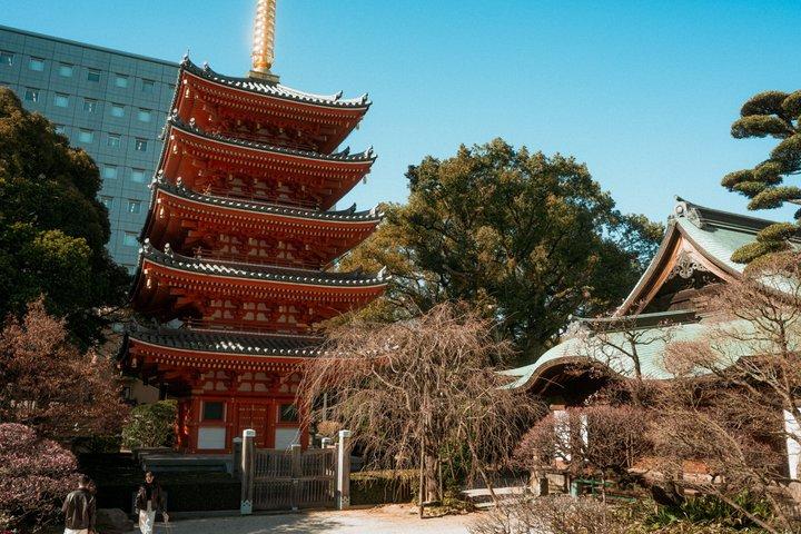 Fukuoka Hakata Old Town Cultural and Food Walking Tour