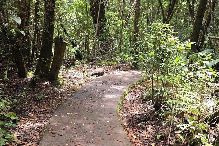 終日ポアス火山、ラパス滝庭園、コーヒー農園体験