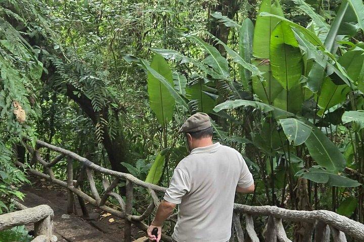 終日ポアス火山、ラパス滝庭園、コーヒー農園体験