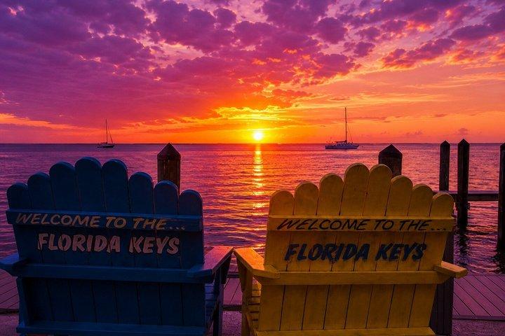 Florida Keys Sunset Cruise with Wildlife Spotting in Key Largo