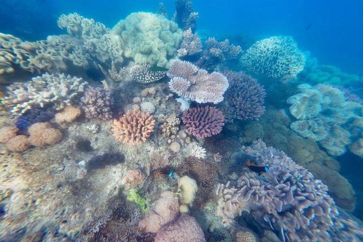 シスカセイリングウィットサンデー諸島2日間ファンアドベンチャー