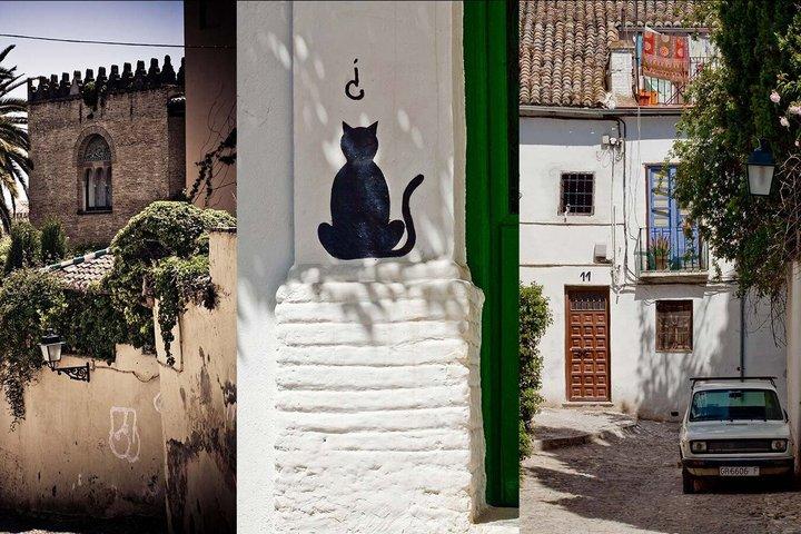 El Tesoro Oculto de Granada: Tour a pie del Albayzin y Sacromonte