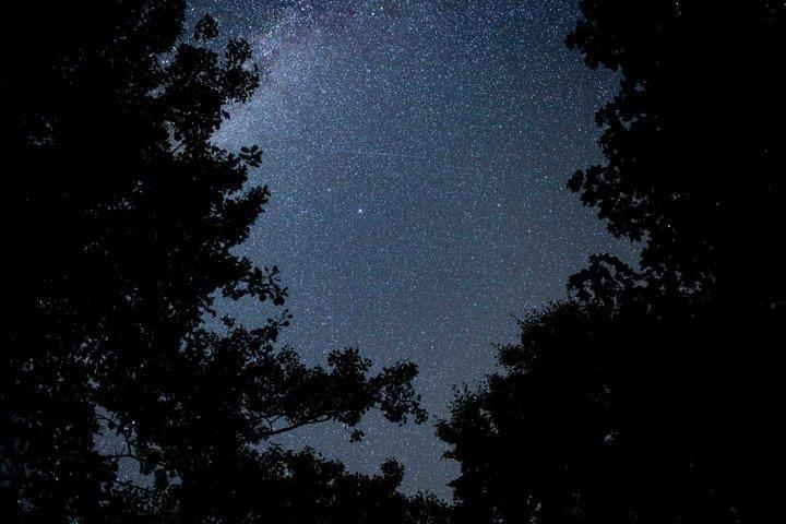 Explore the Universe with an Expert Guide Night Sky Tour