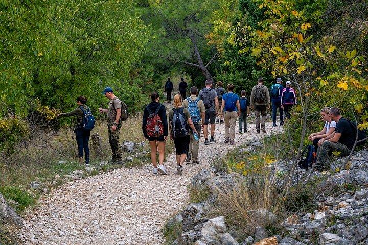 Krka Waterfalls e Trogir Excursão privada de um dia de Split