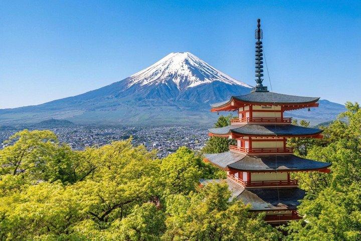 Mount Fuji Private Tour with English Speaking Guide