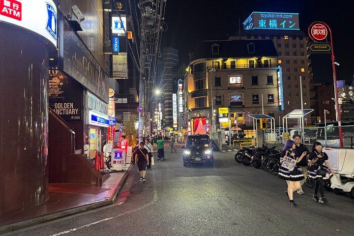 Kabukicho Red Light Comedy Walk with a Local Comedian