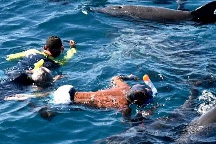 ランチ付きムネンバ島プライベートツアー