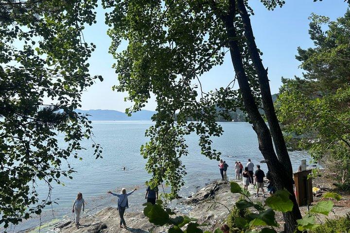 Bergen : Hardangerfjord pittoresque avec cascades et déjeuner dans un jardin