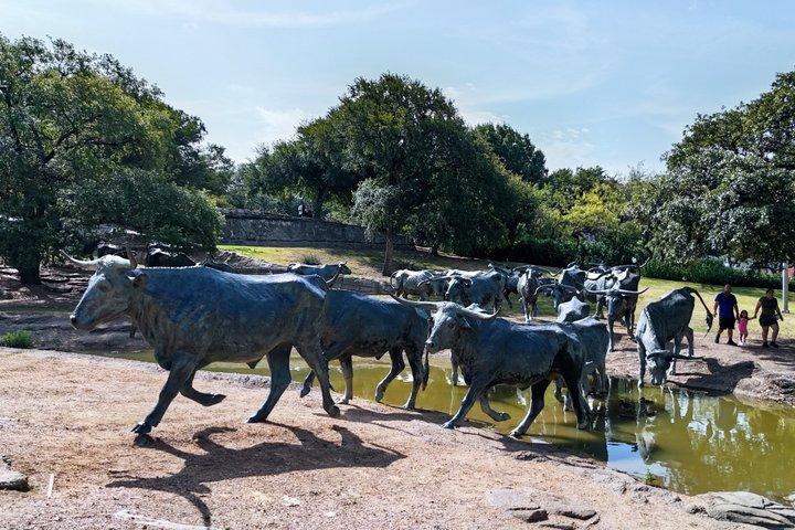Visite guidée de Dallas