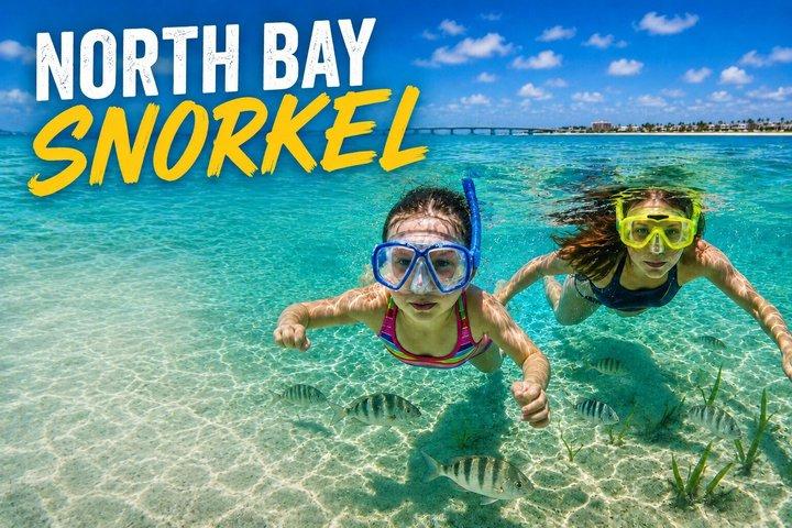 North Bay Snorkeling Adventure on South Padre Island