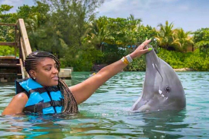 Jamaica : Excursión de un día a nado con delfines