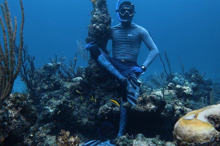 Nassau Kayak Adventure : Snorkeling, bebidas y diversión en grupos pequeños