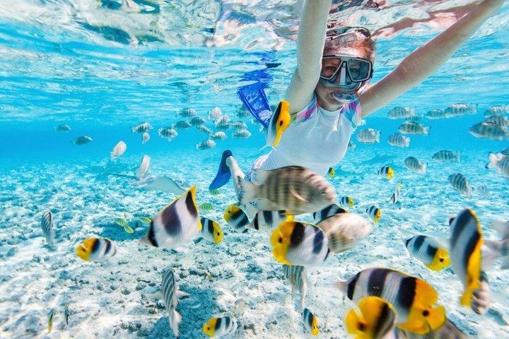 West Nusa Penida Tour Snorkeling Kelingking Beach e almoço