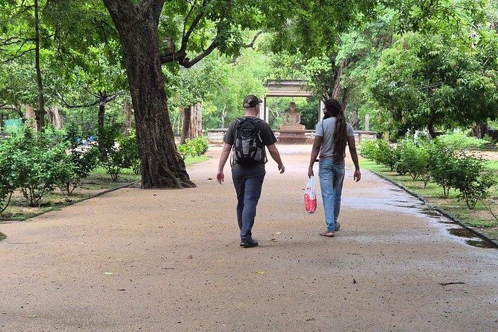 ミニカーで巡るアヌラーダプラとミヒンターレ遺跡ツアー