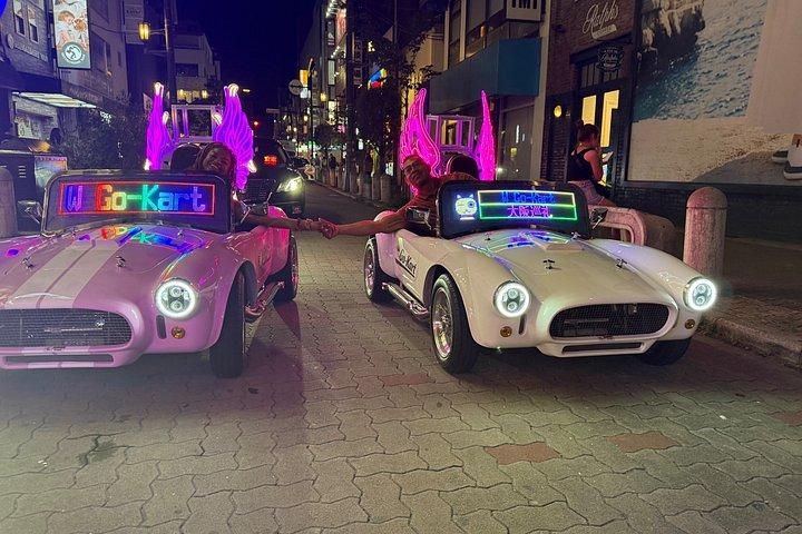 大阪ゴーカートツアー～ドライブスルー大阪