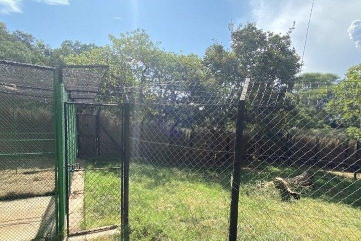 Ann van Dyk Cheetah Center