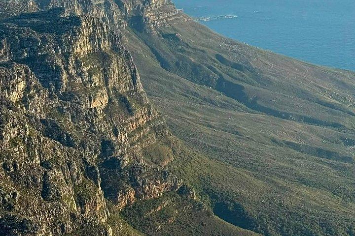 Half Day Cape Point and Boulders Beach Penguins Shared Tour