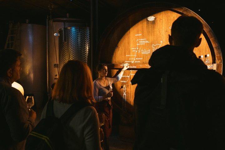 Visita immersiva alla cantina - Degustazione - Kougelhopf vicino a Strasburgo