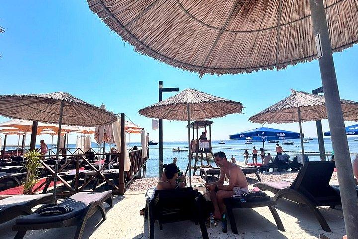 Full Day Guided Princes' Island Swimming Tour with Public Ferry