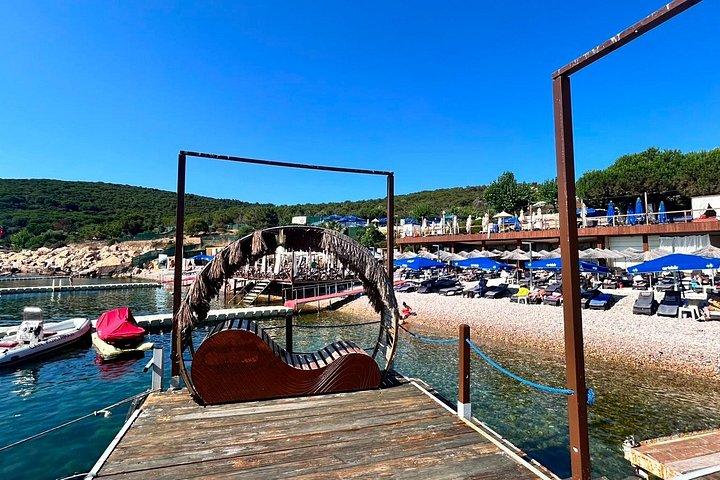 Full Day Guided Princes' Island Swimming Tour with Public Ferry