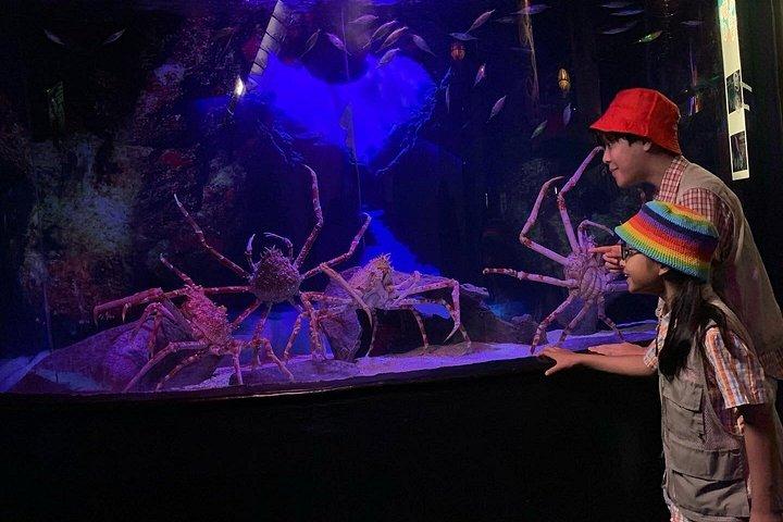 Aquaria KLCC/Berjaya Times Square Entry Ticket