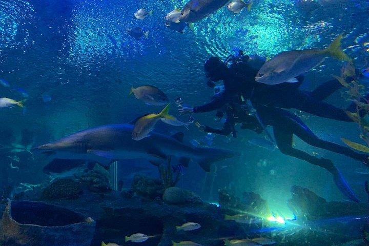 Aquaria KLCC/Berjaya Times Square Entry Ticket