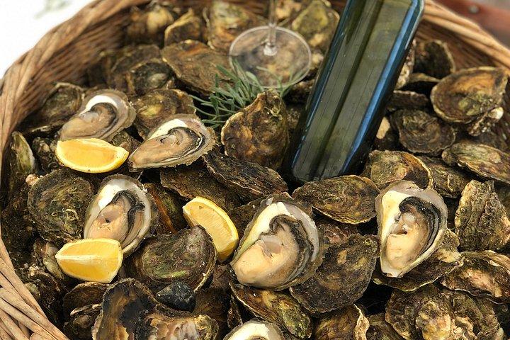 Ston Oyster Farm Tour with Lunch