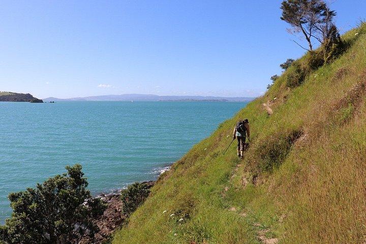 Waiheke Island Walking Private Tour