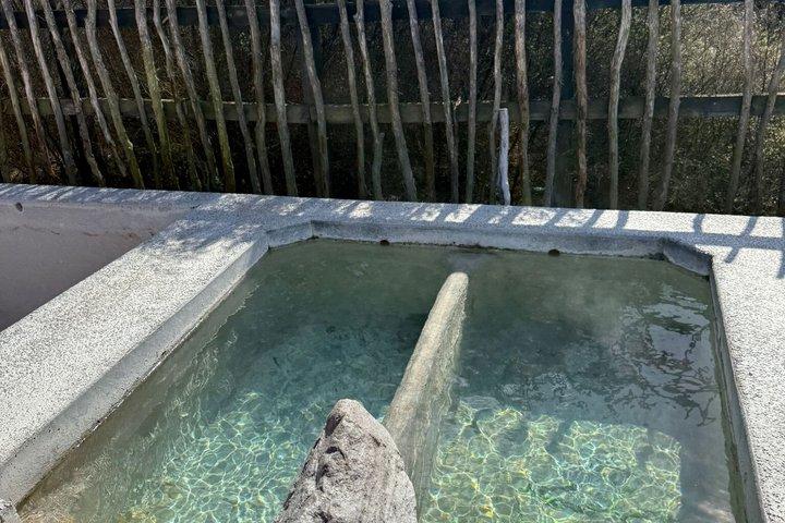 オークランド：ロトルア・マオリ村wセコイア、ハカ、ハンギランチ