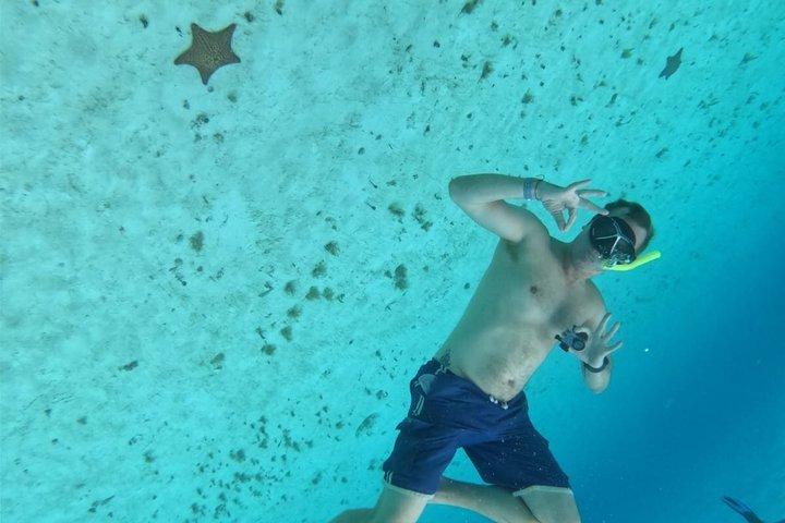 Gezamenlijke snorkeltocht bij El Cielo Beach in Cozumel