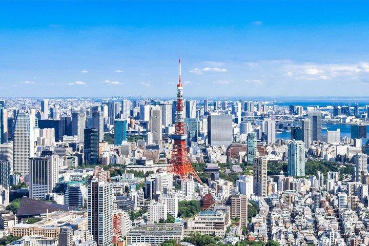 Private Transfer Between Tokyo Cruise Terminal and Tokyo City