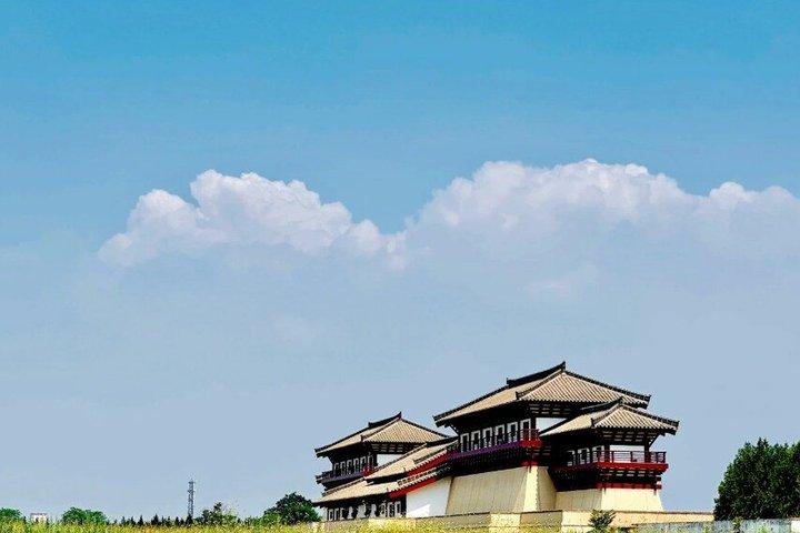 Mausoleo di Yangling e tour privato di un giorno a Xi'an City