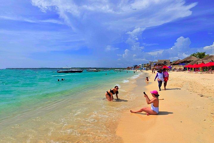 シュノーケリングまたは水族館を楽しむロサリオ諸島とプラヤブランカツアー