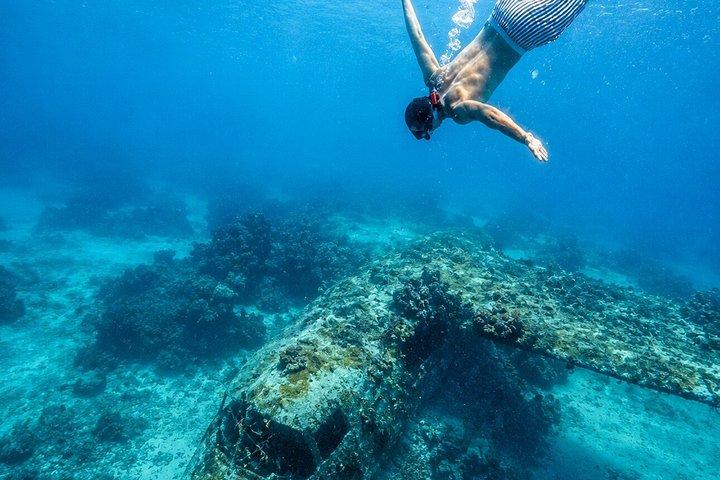 シュノーケリングまたは水族館を楽しむロサリオ諸島とプラヤブランカツアー