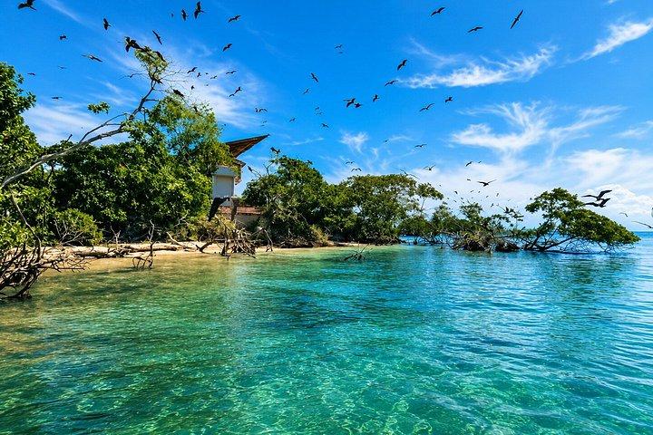 シュノーケリングまたは水族館を楽しむロサリオ諸島とプラヤブランカツアー