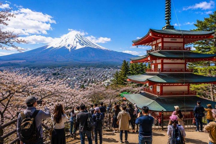 Private Tour to Mount Fuji and Hakone - A Personalized Experience